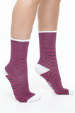 BAM Barbican Bamboo Socks UK 4-7 In Blue Red Stripe