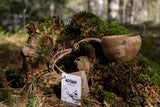 Showing the Kupilka Moomin Pappa in Brown - Classic Cup 210ml - on a mossy stump