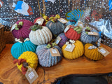 Pretty Pumpkins - Made in Llanberis