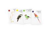 Bird Families Playing Cards by Mike Unwin card selection