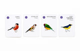 Bird Families Playing Cards by Mike Unwin card selection