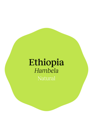 Hearland Cofee Ethiopia Hambela Natural logo 