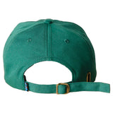 KAVU BallardCap in Palm Leaf from back