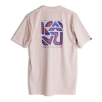 KAVU Cubed T-Shirt in the colour frappe shown from the back