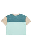 KAVU Eevi T-Shirt in the colour Vibrant Valley, shown from the back