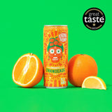 Photo of Karma drinks Orangeade 250ml with oranges leant up against it on green background.