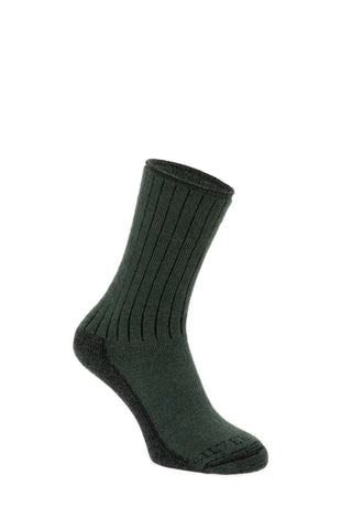 Silverpoint Soft Top Socks in the colour green on a foot shape