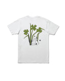 Stance Lucky Rainbow T-Shirt in the colour White, shown flat, from the back