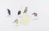 Match a Pair of Birds Playing Cards by Christine Berrie, showing an assortment of cards from the front and back 