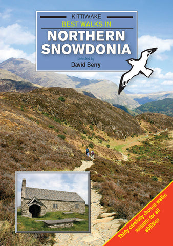 Kittiwake Best Walks In Northern Snowdonia by David Berry