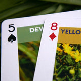 Natures Work - Wildflower Playing Cards