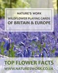 Natures Work - Wildflower Playing Cards Cover