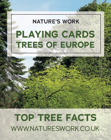 Natures Work - Trees of Europe Playing Cards Cover