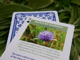 Natures Work - Wildflower Playing Cards Devil's-Bit Scabious Five of Spades