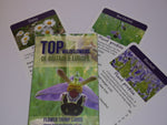 Natures Work - Wildflower Of Britain And Europe Top Trumps Various Cards 