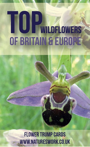 Natures Work - Wildflower Of Britain And Europe Top Trumps Cover