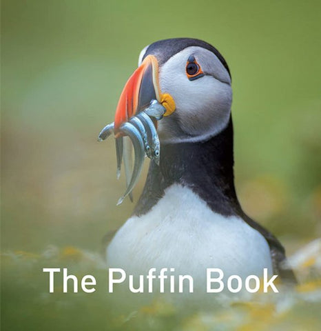 Image of The Puffin Book by Drew Buckley