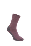 Vicuna Alpaca Fully Cushioned Socks in the colour wine showing the sock on a foot.