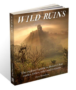 Wild Ruins by Dave Hamilton