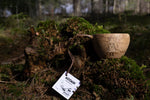 Showing the Kupilka Snufkin Large Cup 370ml in Brown lurking stylishly on a mossy stump