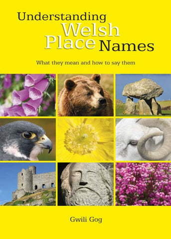 An image of the front of Understanding Welsh Place Names What they mean and how to say them by Gwili Gog